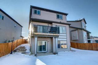 Photo 46: 115 Copperpond Cove SE Calgary Home For Sale