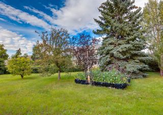 Photo 14: 8539 48 Avenue NW in Calgary: Bowness Detached for sale : MLS®# A2075068