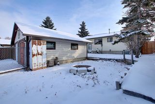 Photo 23: 4323 49 Street NE in Calgary: Whitehorn Detached for sale : MLS®# A1043612