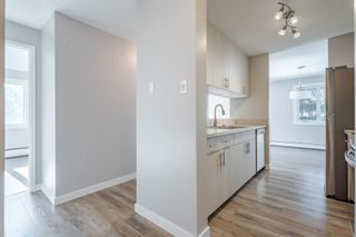 Photo 5: 317 723 57 Avenue SW in Calgary: Windsor Park Apartment for sale : MLS®# A2051821