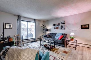 Photo 9: 304 835 19 Avenue SW in Calgary: Lower Mount Royal Apartment for sale : MLS®# A2106747