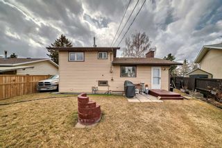 Photo 37: 1328 Pennsburg Road SE in Calgary: Penbrooke Meadows Detached for sale : MLS®# A2122867