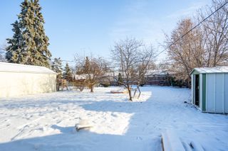 Photo 19: Silver Heights Bungalow: House for sale (Winnipeg) 