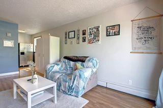 Photo 9: 403 2203 14 Street SW in Calgary: Bankview Apartment for sale : MLS®# A1238961