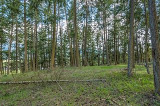 Photo 11: Lot 1 Gulch Road, in Armstrong: Vacant Land for sale : MLS®# 10265215