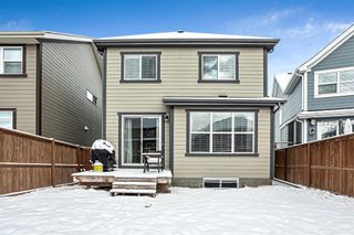 Photo 40: 67 Masters Place SE in Calgary: Mahogany Detached for sale : MLS®# A1195676