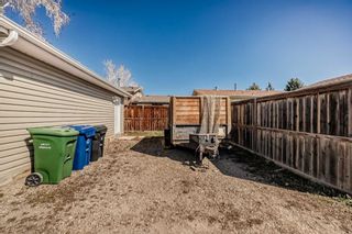 Photo 36: 195 Pinecliff Way NE in Calgary: Pineridge Detached for sale : MLS®# A2124953