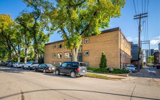 Photo 1: 202 118 Scott Street in Winnipeg: Osborne Village Condominium for sale (1B)  : MLS®# 202223410