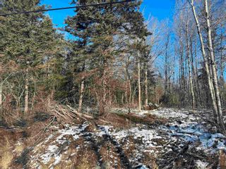 Photo 4: Lot K1 Greenfield Road in Greenfield: Kings County Vacant Land for sale (Annapolis Valley)  : MLS®# 202400528