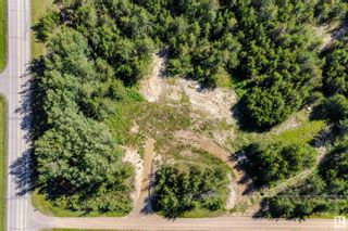 Photo 11: 61112 Hiway 855: Rural Smoky Lake County Vacant Lot/Land for sale : MLS®# E4341803