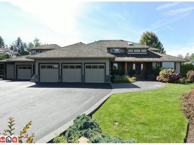 Main Photo: 20486 1ST Avenue in Langley: Campbell Valley House for sale : MLS®# F1114213