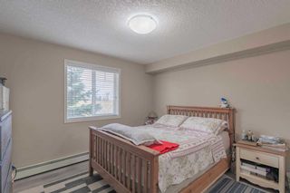 Photo 14: 3101 115 Prestwick Villas SE in Calgary: McKenzie Towne Apartment for sale : MLS®# A2129213