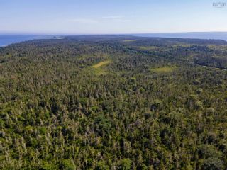 Photo 10: TBD Blanche Road in Blanche: 407-Shelburne County Vacant Land for sale (South Shore)  : MLS®# 202225586