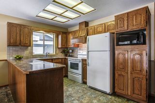 Photo 7: 20293 125 Avenue in Maple Ridge: Northwest Maple Ridge House for sale : MLS®# R2137356