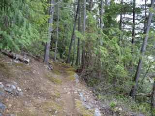 Photo 14: 320 Huck Rd in Whaletown: Isl Cortes Island House for sale (Islands)  : MLS®# 863187