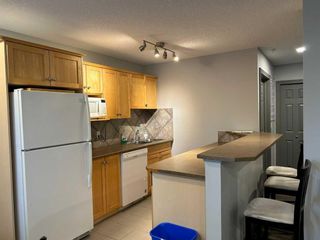 Photo 30: 404 1414 17 Street SE in Calgary: Inglewood Apartment for sale : MLS®# A2069255
