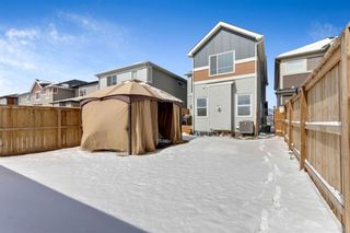 Photo 35: 297 Walgrove Terrace SE in Calgary: Walden Detached for sale : MLS®# A1087499