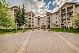 Photo 1: 209 1717 60 Street SE in Calgary: Red Carpet Apartment for sale : MLS®# A2133379