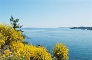 Photo 5: : Residential for sale (Curteis Point
North Saanich
Victoria
Vancouver Island/Smaller Islands
British Columbia)  : MLS®# 249242
