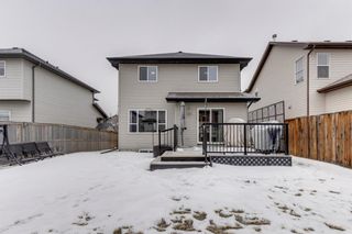 Photo 36: 10 Royal Birch Way NW in Calgary: Royal Oak Detached for sale : MLS®# A1189175
