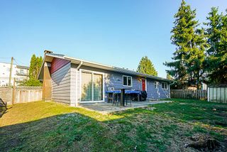 Photo 17: 12087 227 Street in Maple Ridge: East Central House for sale : MLS®# R2291699