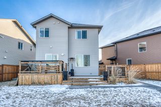 Photo 40: 51 Sage Berry Place NW in Calgary: Sage Hill Detached for sale : MLS®# A2019788
