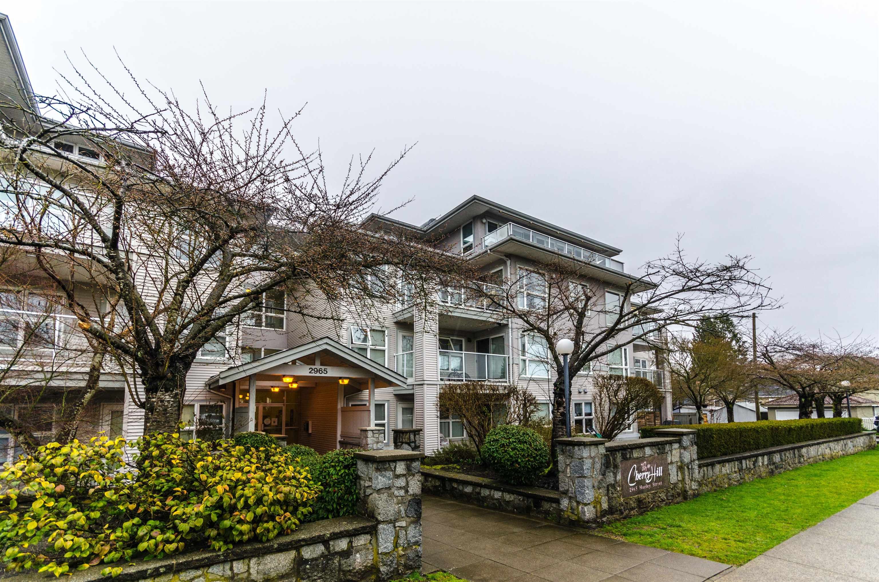 Main Photo: 111 2965 HORLEY Street in Vancouver: Collingwood VE Condo for sale (Vancouver East)  : MLS®# R2658206