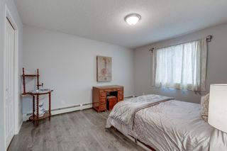 Photo 16: 2119 6224 17 Avenue SE in Calgary: Red Carpet Apartment for sale : MLS®# A2011902