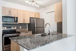 Photo 10: 2308 4641 128 Avenue NE in Calgary: Skyview Ranch Apartment for sale : MLS®# A2121620