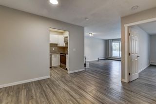 Photo 7: 203 335 Garry Crescent NE in Calgary: Greenview Apartment for sale : MLS®# A1236710