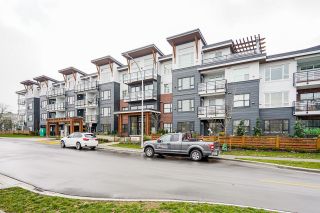 Photo 3: 306 22136 49 AVENUE in Langley: Murrayville Condo for sale : MLS®# R2644030