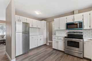 Photo 6: 244 Dovely Place SE in Calgary: Dover Detached for sale : MLS®# A2132664