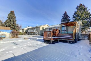 Photo 45: 2115 Mackay Road NW in Calgary: Montgomery Detached for sale : MLS®# A2017111