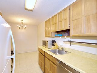 Photo 5: 213 680 E 5TH Avenue in Vancouver: Mount Pleasant VE Condo for sale in "MACDONALD HOUSE" (Vancouver East)  : MLS®# R2386585