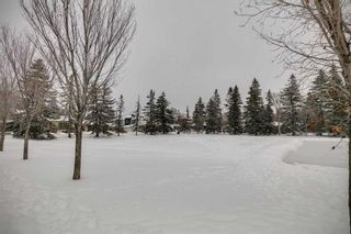 Photo 45: 3813 13A Street SW in Calgary: Elbow Park Detached for sale : MLS®# A2098853