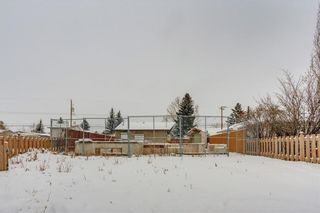 Photo 4: 4508 72 Street NW in Calgary: Bowness Land for sale : MLS®# C4299682