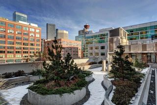 Photo 29: 1209 310 12 Avenue SW in Calgary: Beltline Apartment for sale : MLS®# A2093411