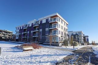 Photo 25: 225 383 Smith Street NW in Calgary: University District Apartment for sale : MLS®# A2011296