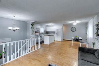 Photo 15: 370 Martindale Boulevard NE in Calgary: Martindale Detached for sale : MLS®# A2008481