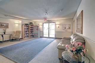 Photo 23: 402 33 Arbour Grove Close NW in Calgary: Arbour Lake Apartment for sale : MLS®# A1241662
