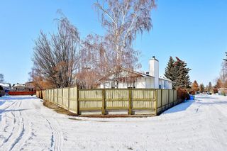 Photo 46: 331 Mckerrell Place SE in Calgary: McKenzie Lake Detached for sale : MLS®# A2032883