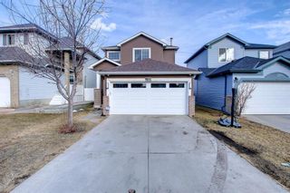 Photo 44: 30 Martin Crossing Way NE in Calgary: Martindale Detached for sale : MLS®# A1195474
