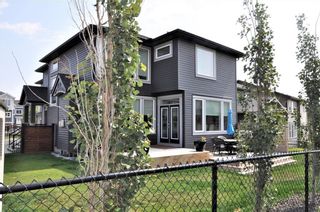 Photo 39: 493 NOLAN HILL Boulevard NW in Calgary: Nolan Hill Detached for sale : MLS®# C4198064