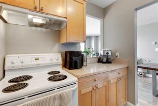 Photo 12: 606 1334 12 Avenue SW in Calgary: Beltline Apartment for sale : MLS®# A2034718