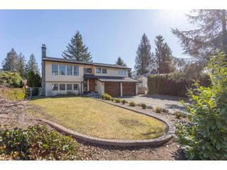 Photo 1: 8324 GALE Street in Mission: Mission BC House for sale : MLS®# R2350997