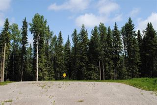 Photo 12: Lot #3 32529 Range Road #52: Rural Mountain View County Residential Land for sale : MLS®# A1255594