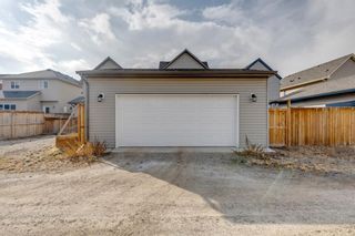 Photo 43: 179 Copperpond Square SE in Calgary: Copperfield Detached for sale : MLS®# A1199841