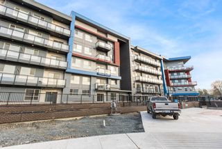 Photo 21: 313 5486 199A Street in Langley: Langley City Condo for sale : MLS®# R2872434