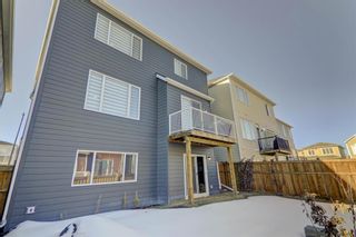 Photo 36: 143 Yorkville Green SW in Calgary: Yorkville Detached for sale : MLS®# A2024451