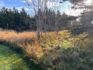 Photo 13: Lots 3 & 4 Brooks Road in Ashmore: Digby County Vacant Land for sale (Annapolis Valley)  : MLS®# 202225766